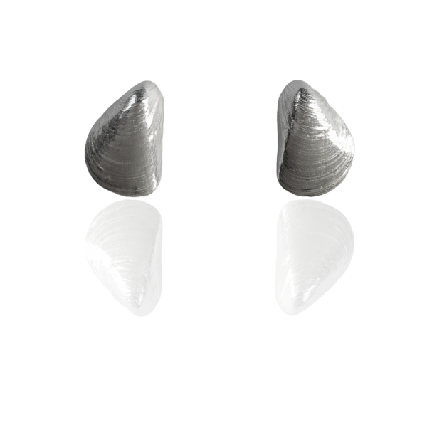 Miesmuschel Ohrstecker